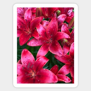 Raindrop Flowers Sticker